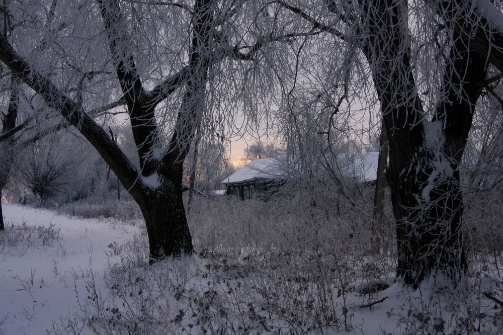 Photograph by Натали Урмакова