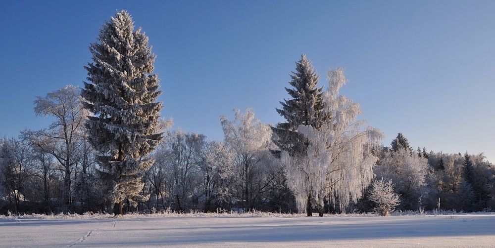 Photograph by Светлана