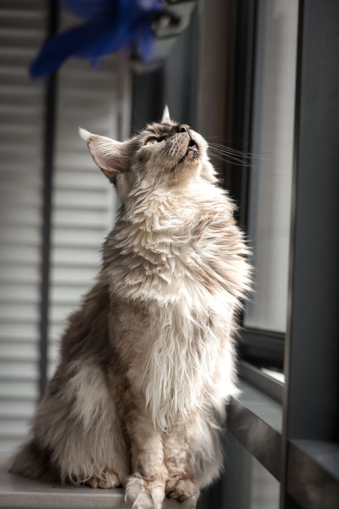 Photograph by Елена Цырюк