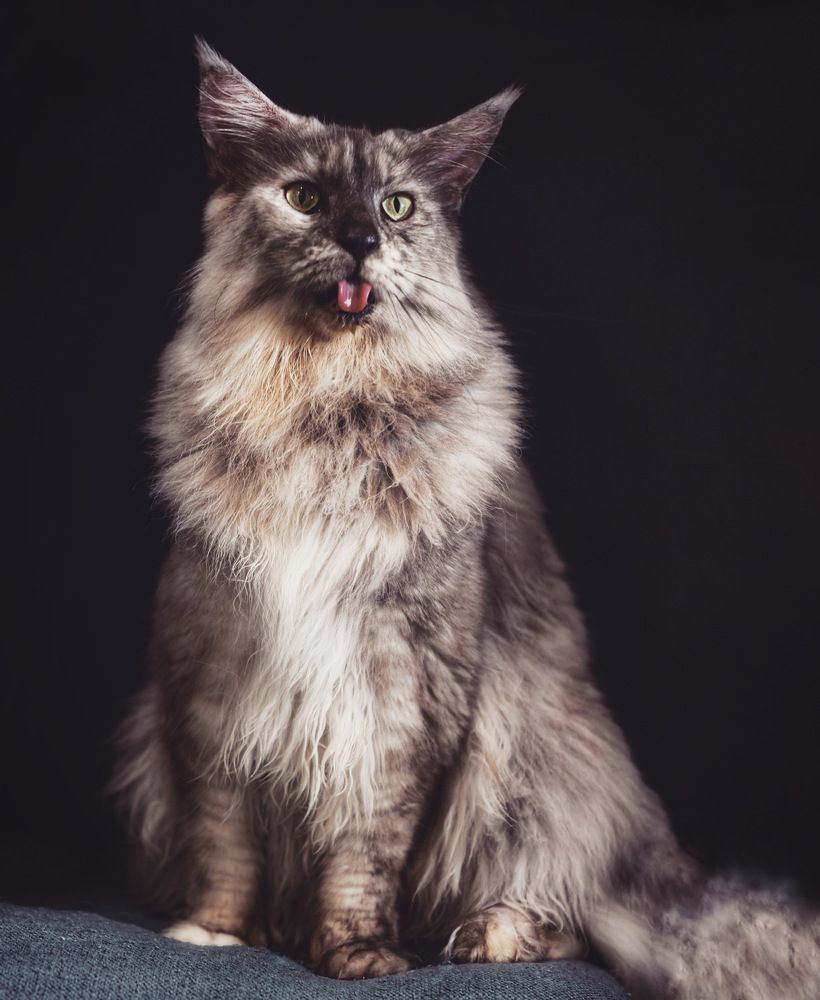 Photograph by Елена Цырюк