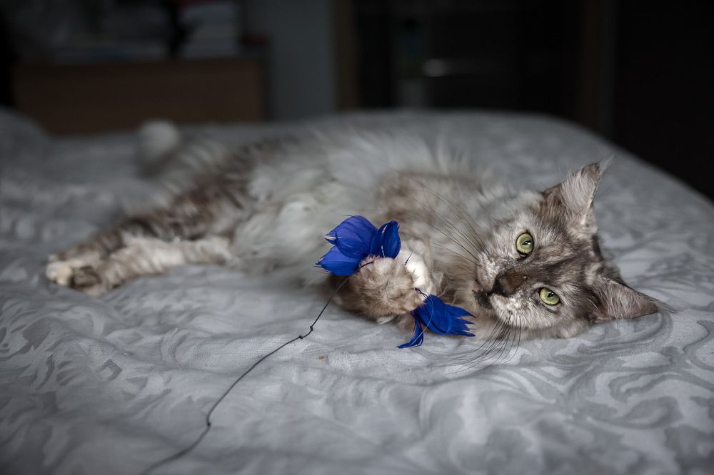 Photograph by Елена Цырюк