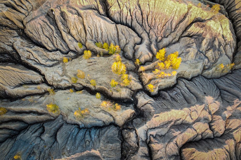 Photograph by Алексей Королев