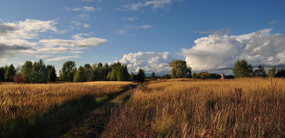 Photograph by Светлана