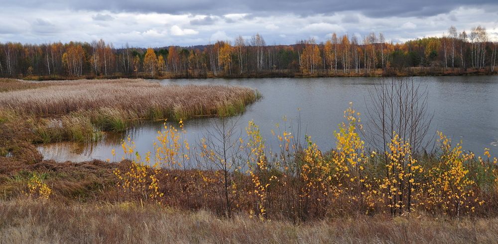 Photograph by Светлана