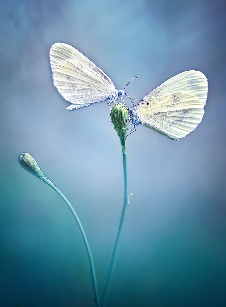 Photograph by Dana S.