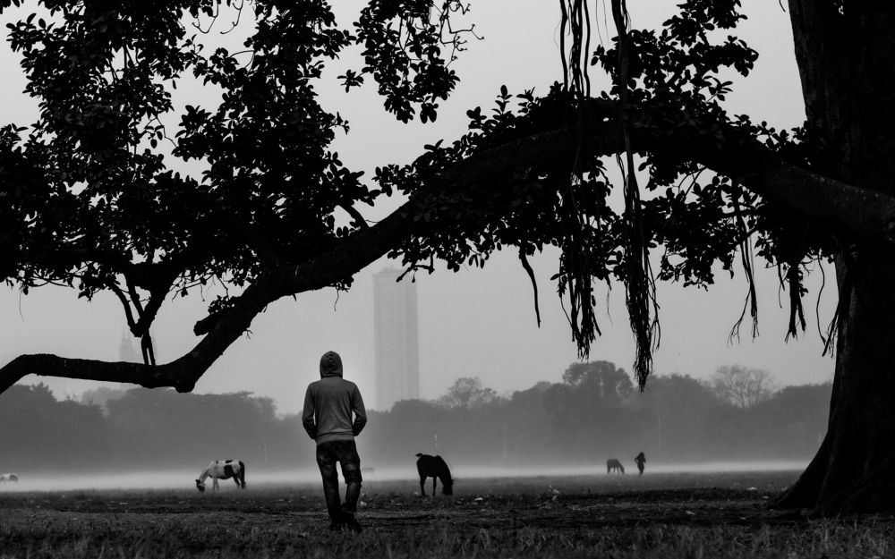 The scape of a freezy morning