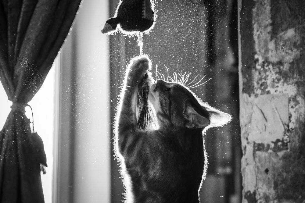 Photograph by Марина Александрова