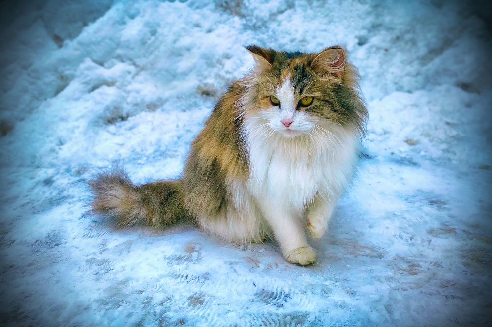 Photograph by Светлана Голикова