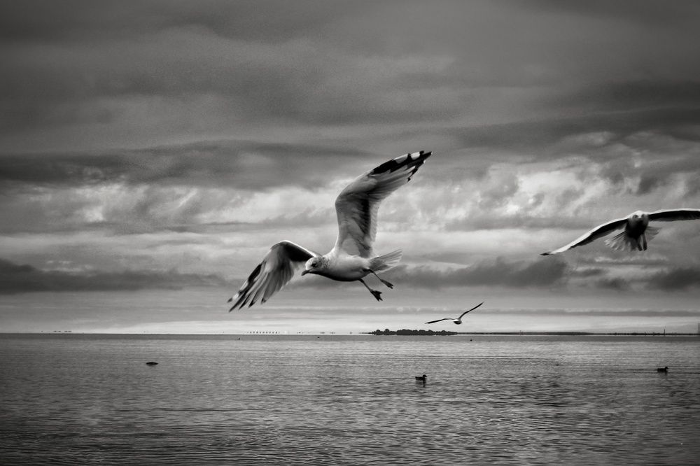 Photograph by Инна Карасева