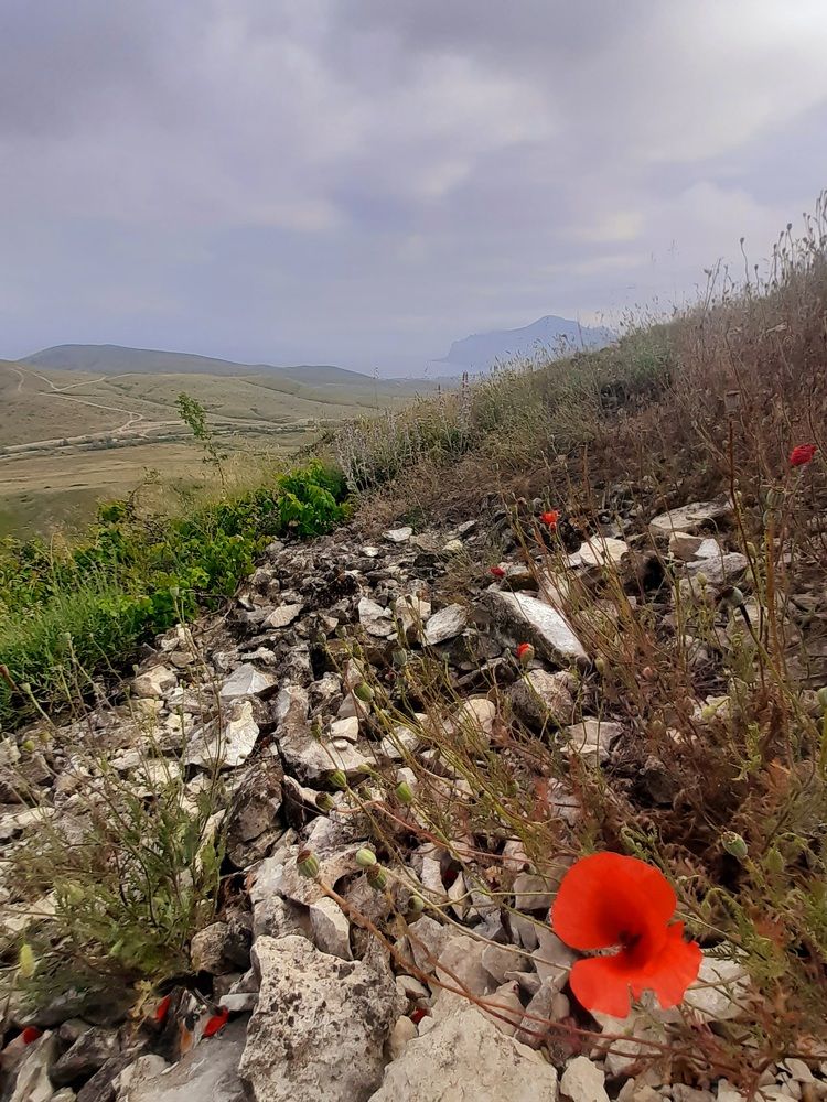 Photograph by Eugenia Roshchina