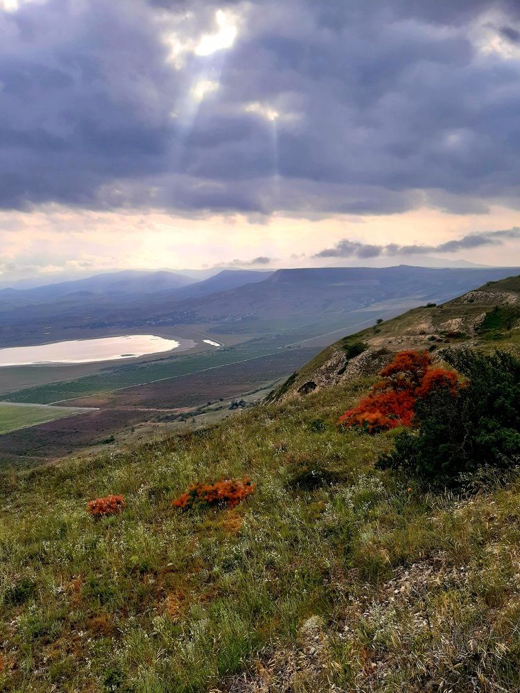 Photograph by Eugenia Roshchina