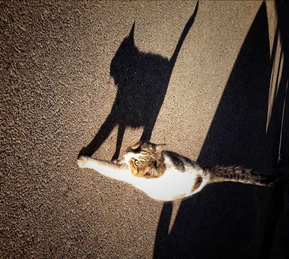 Photograph by Nunu Gambashidze