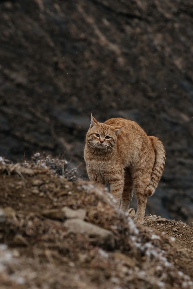 Photograph by Анастасия Рыбалко