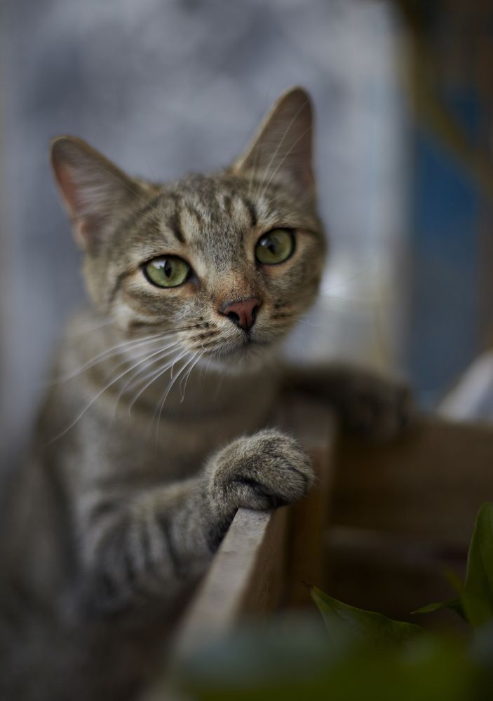 Photograph by Анастасия Рыбалко