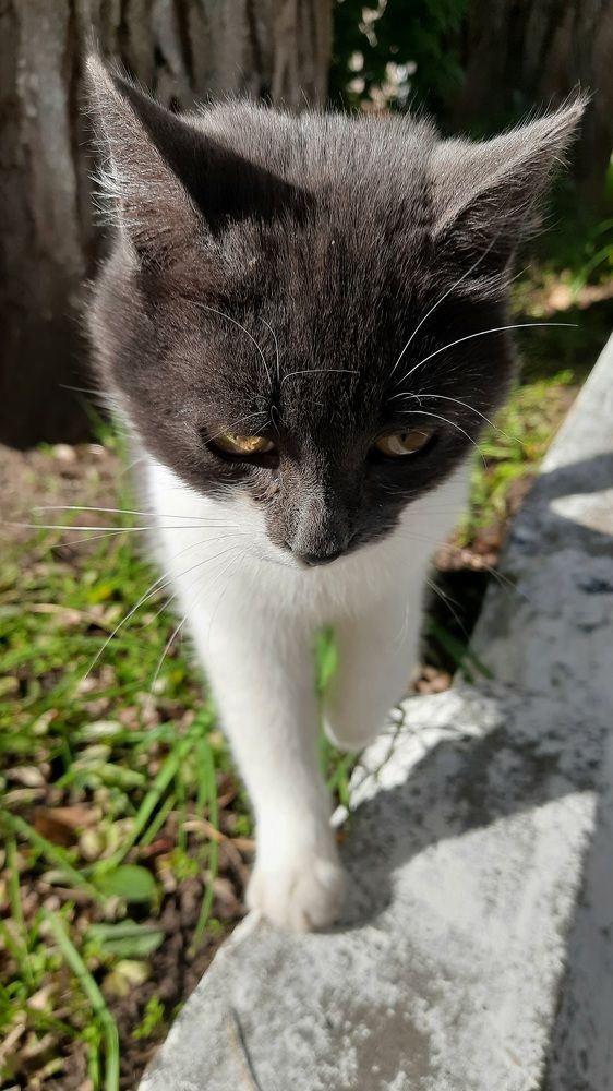 Photograph by Ольга Новоселова