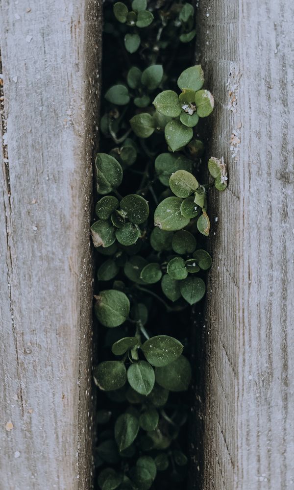 Photograph by Анна Александровна