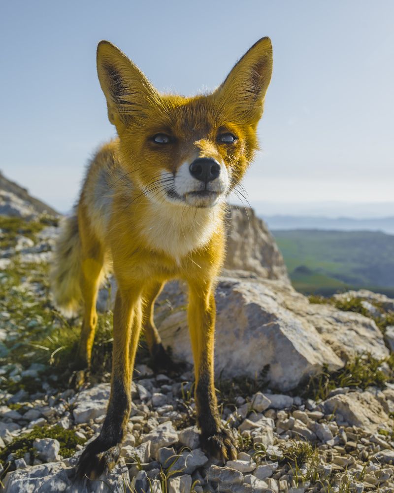 Photograph by Sergey Lexin