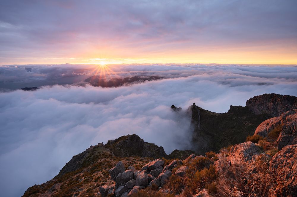 Photograph by Vasylius Vitalis