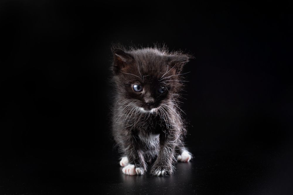 Photograph by Иван Скрыльков