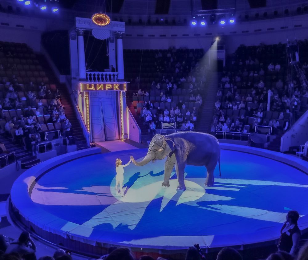 Фотография автора Михаил