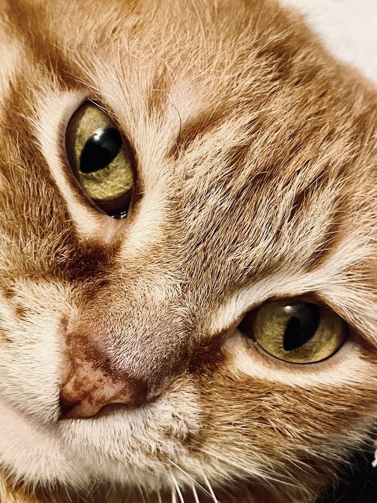 Photograph by Ольга Олейник