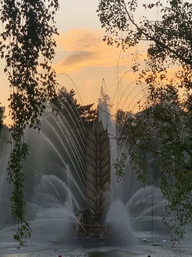 Photograph by Колтунова Алевтина