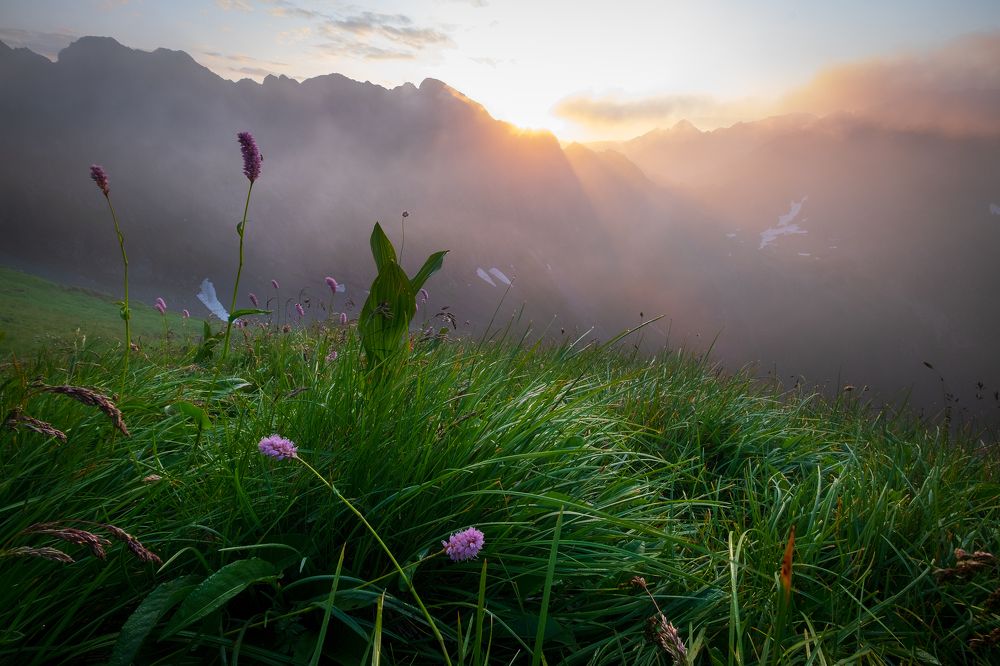 Photograph by Alexandru Pavel