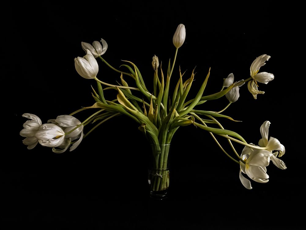 Photograph by Юстина Безух