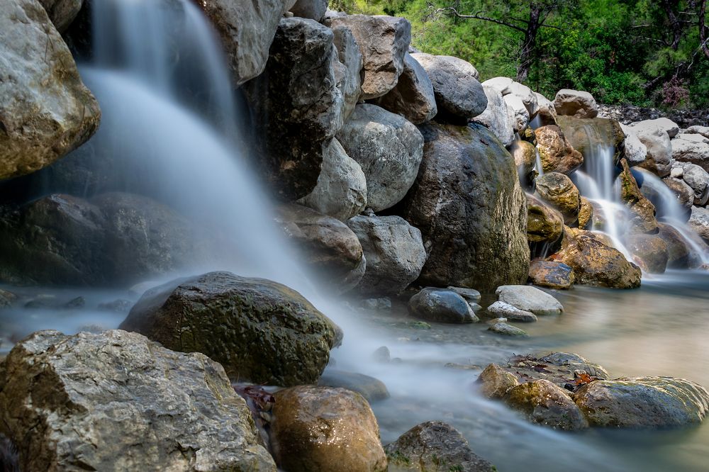 Photograph by Aljona Dyachenko