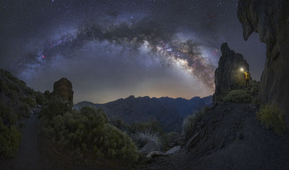 Piedra pajaro  Canarias