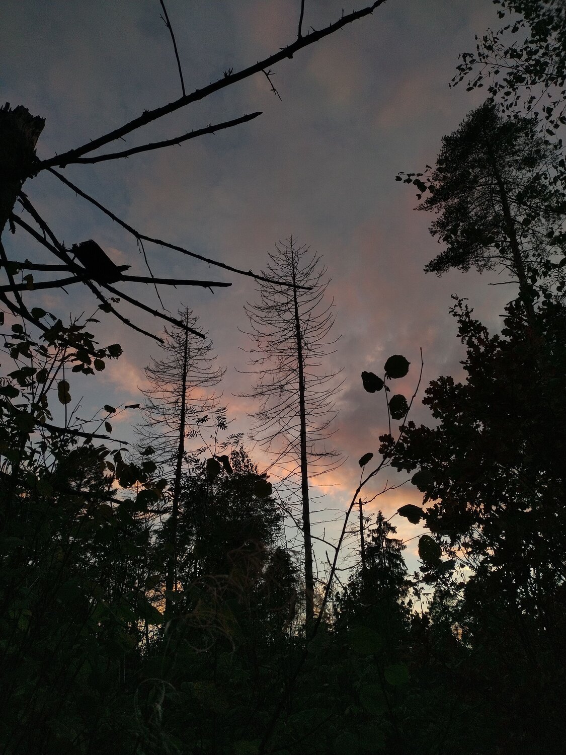 Photo #8773092
