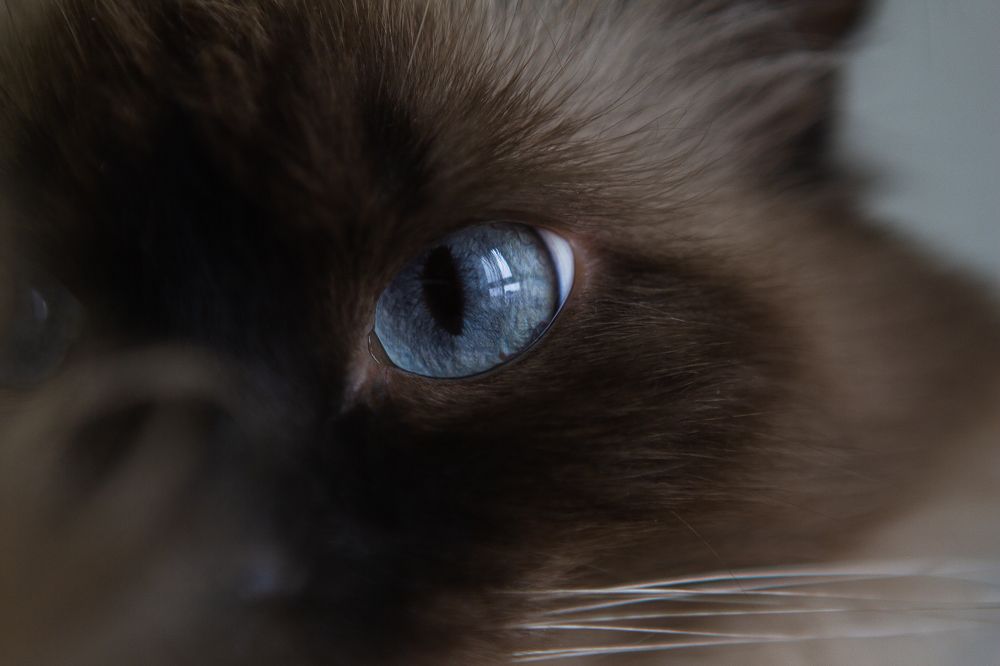 Photograph by Петр Максимов