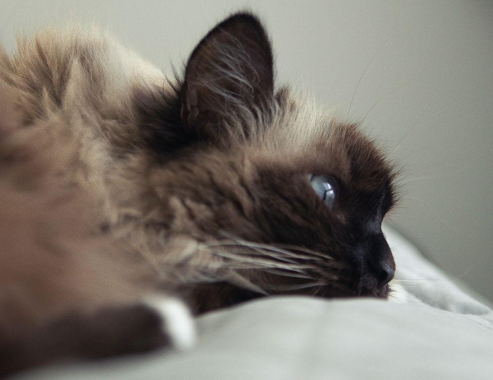 Photograph by Петр Максимов