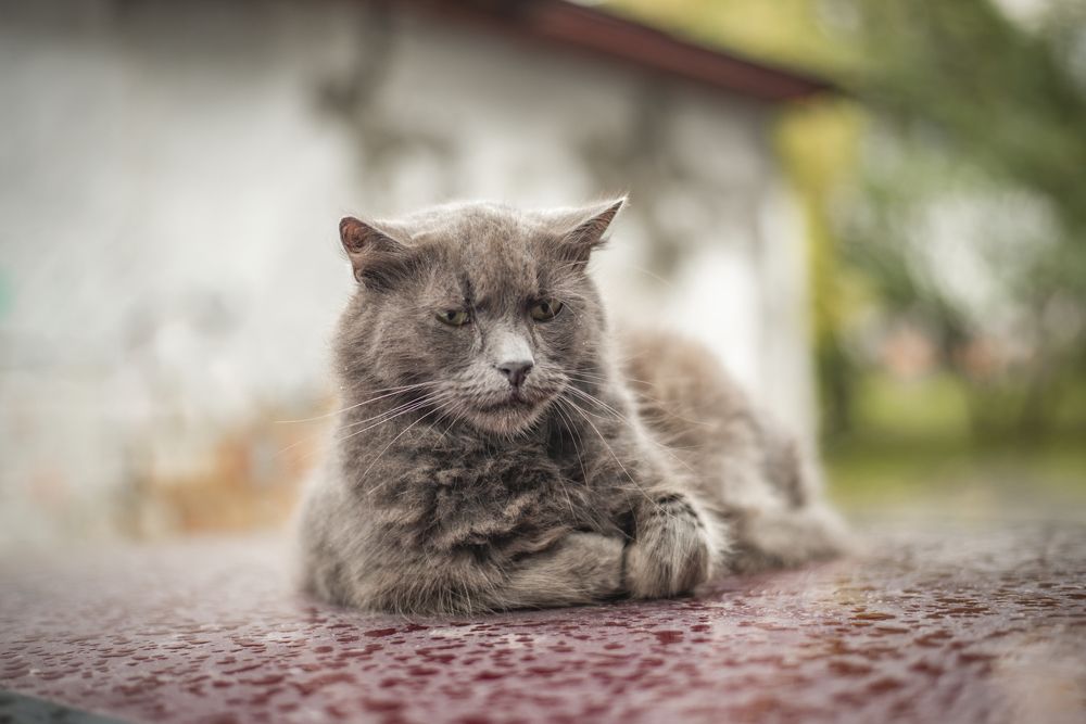 Photograph by Запылаева Анна