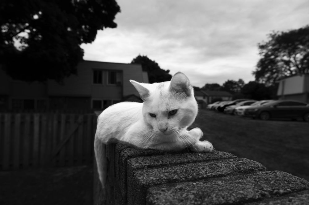 Photograph by Ksenia Kouri