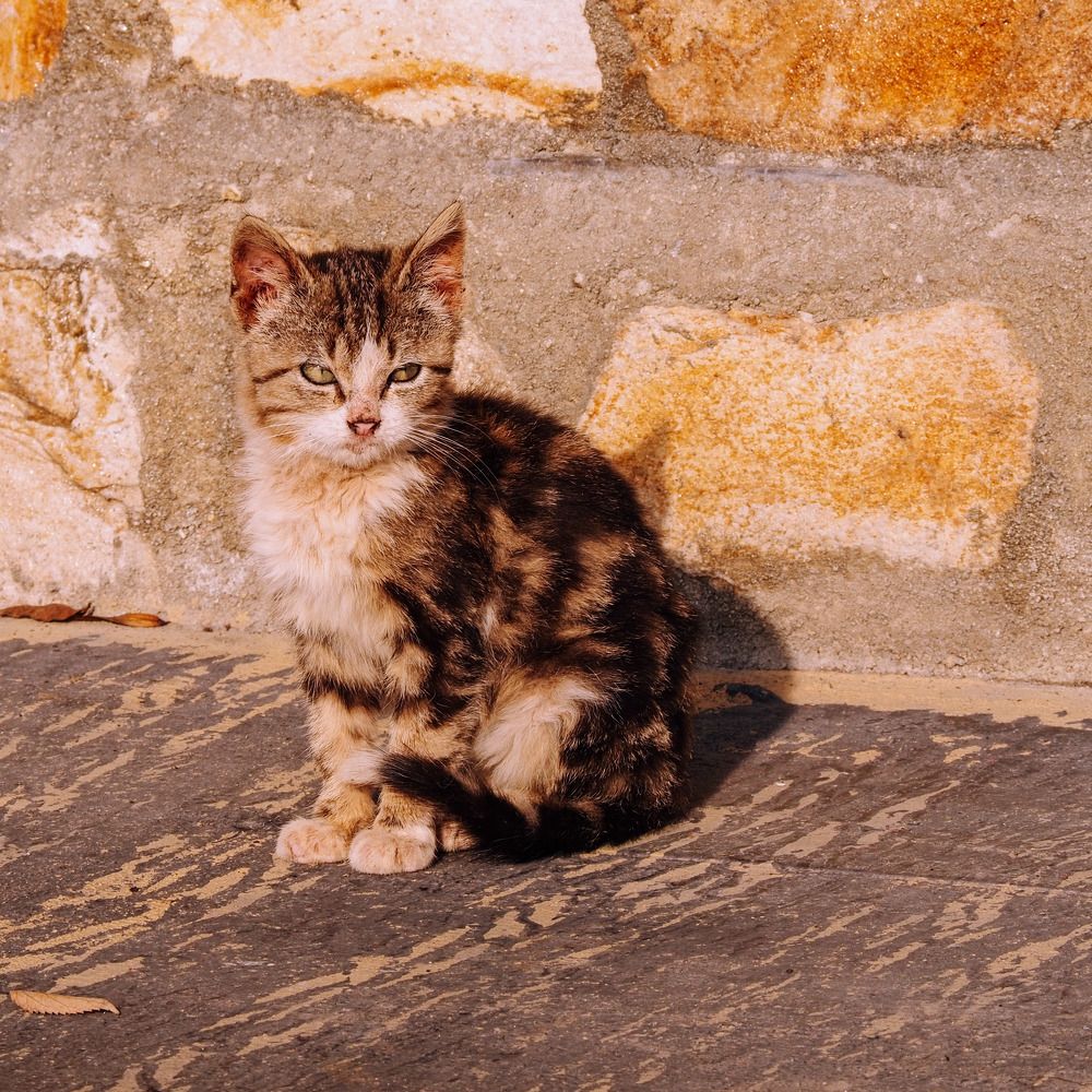 Photograph by Yana Marinova