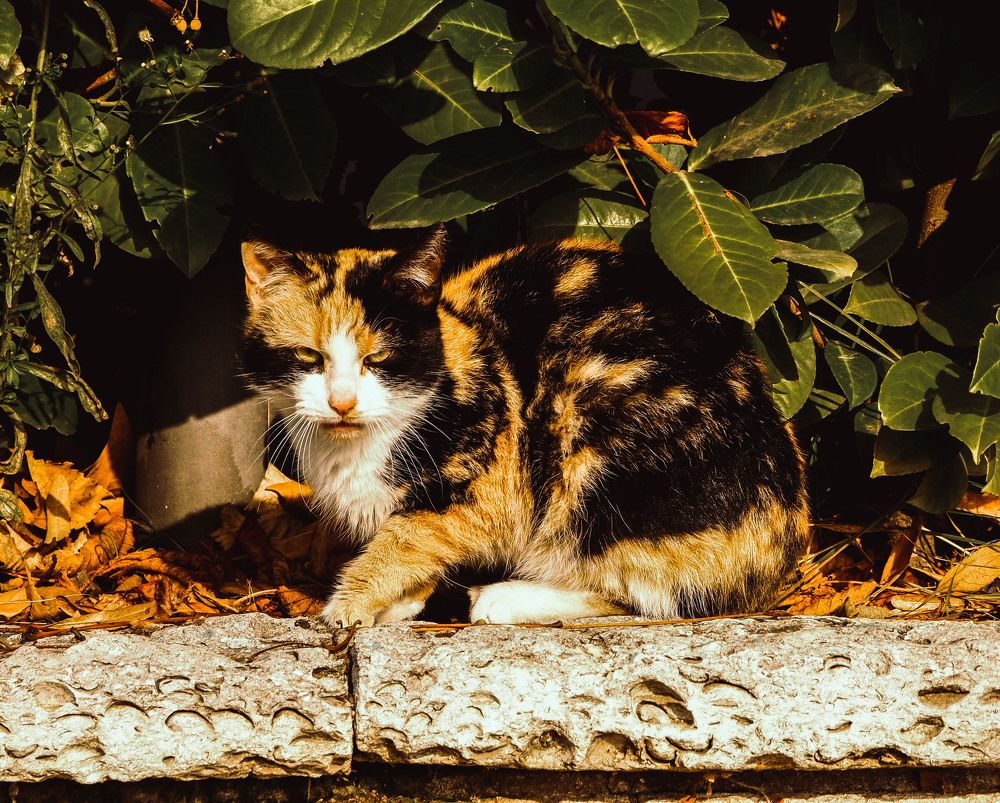 Photograph by Yana Marinova