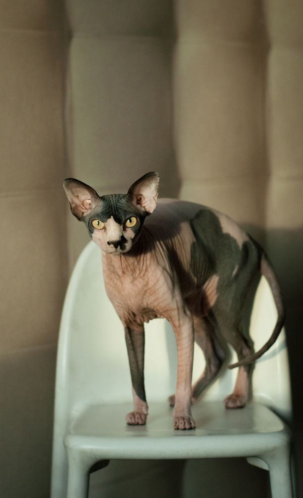 Photograph by Юлия Сезёмова