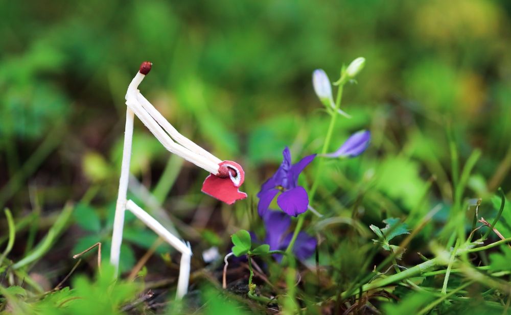 Photograph by Карен Мкртчяан