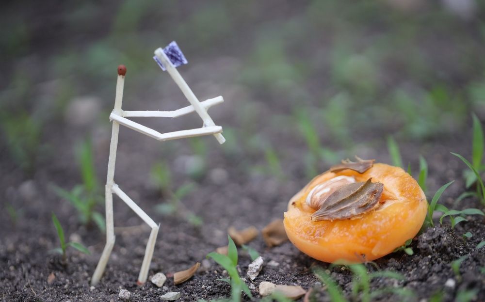 Photograph by Карен Мкртчяан