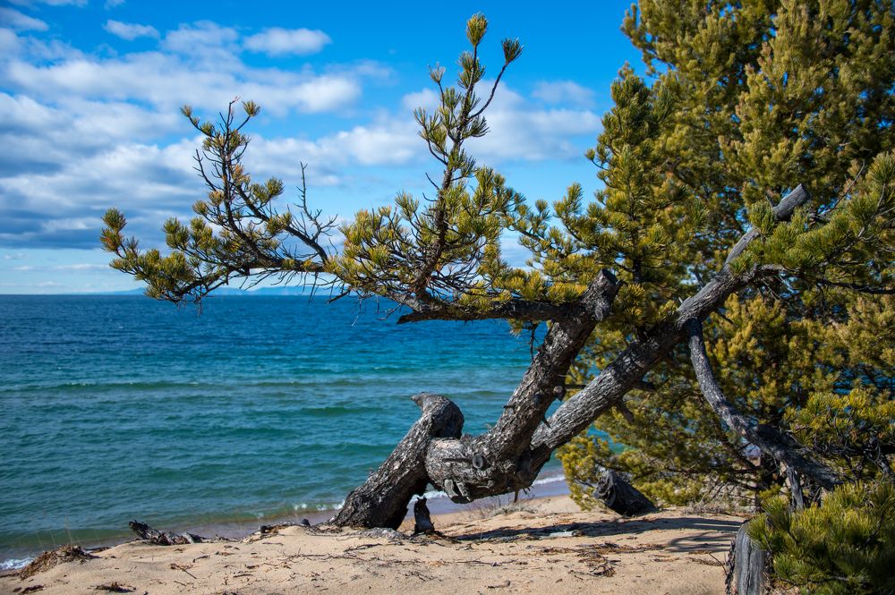 Под суровыми байкальскими ветрами