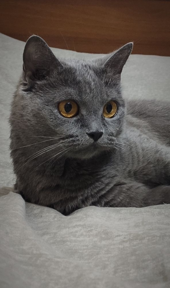 Photograph by Надежда