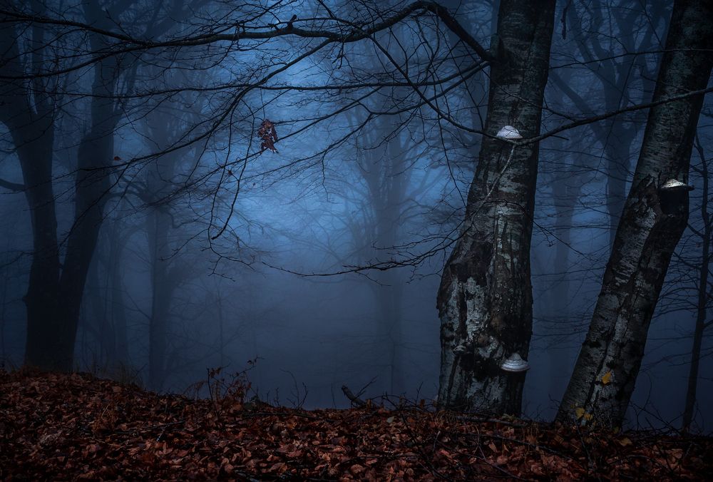 Photograph by Panagiotis Rodos