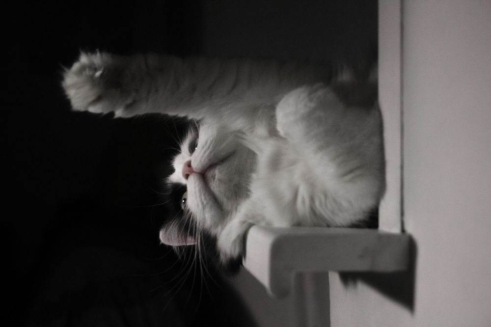 Фотография автора Андрей Рогов