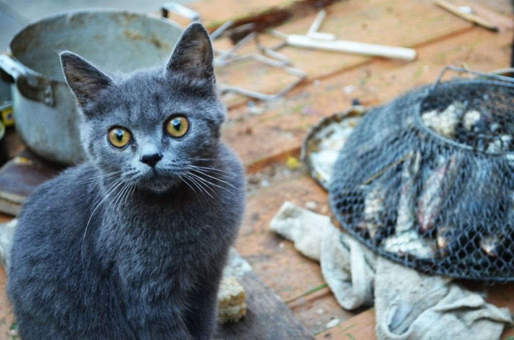 Photograph by Анна Лефлер