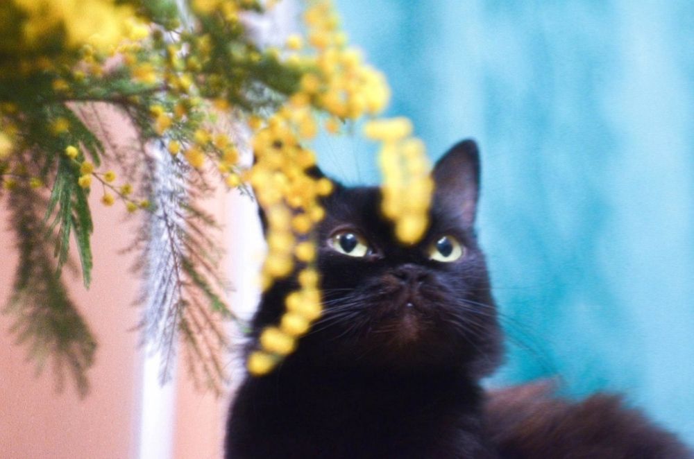 Photograph by Анна Лефлер