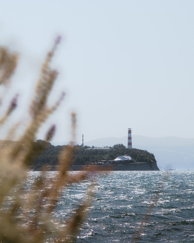 Photograph by Николай Шаврыгин