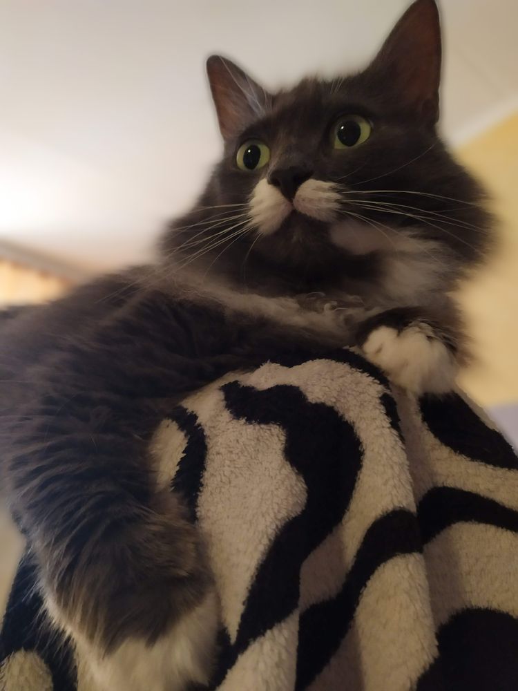 Photograph by Ирина Леончик