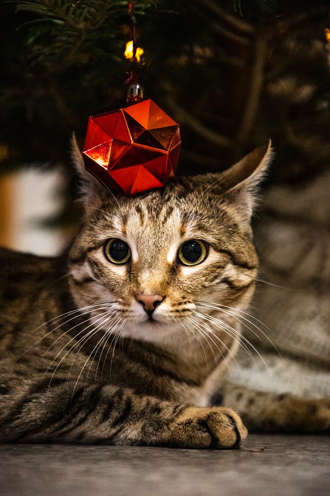 Photograph by Алексей Кашин