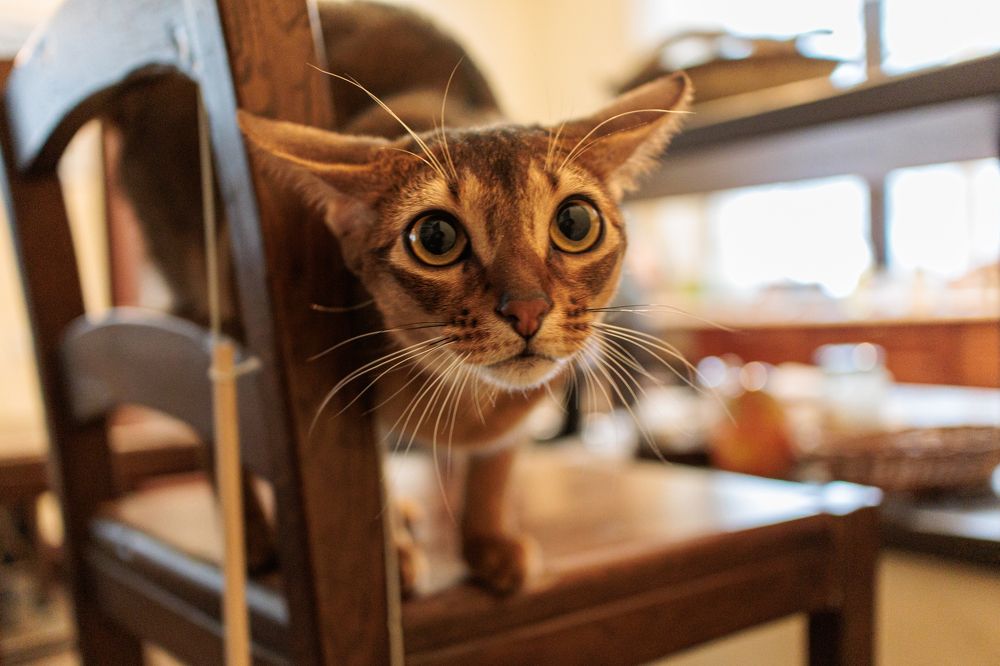 Photograph by Lyudmila Klimanova